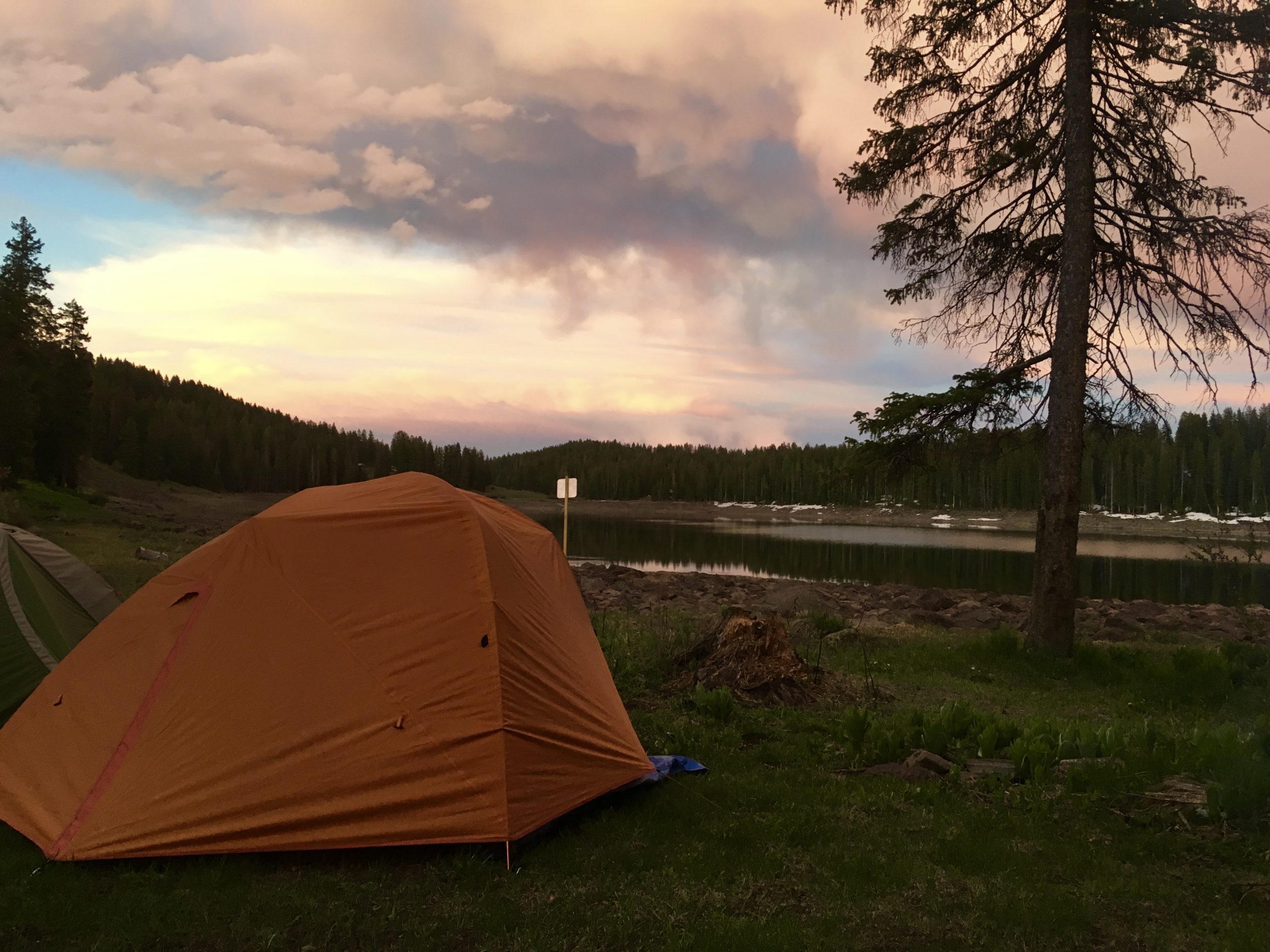 Camp at Ward Lake, scouting for Grand Mesa beardtongue.