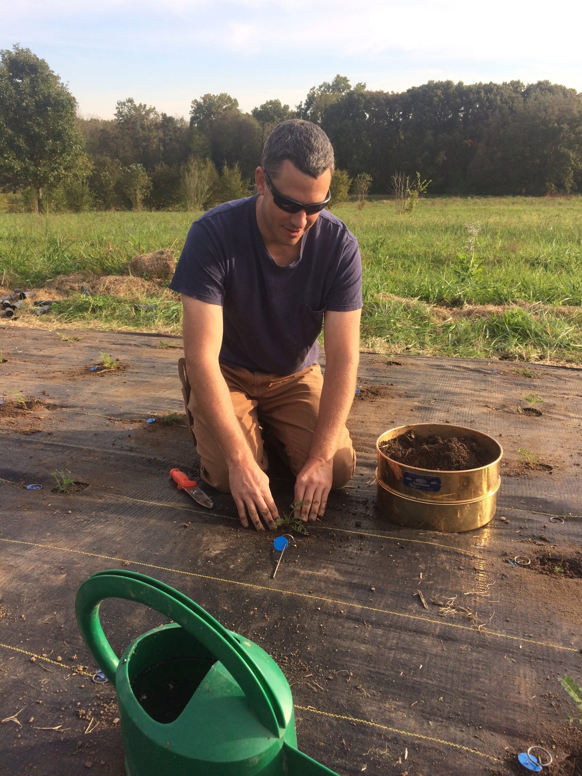 Matthew plants Pyne’s ground plum (Astragalus bibullatus) to increase the amount of seed available for reintroducing the rare species.