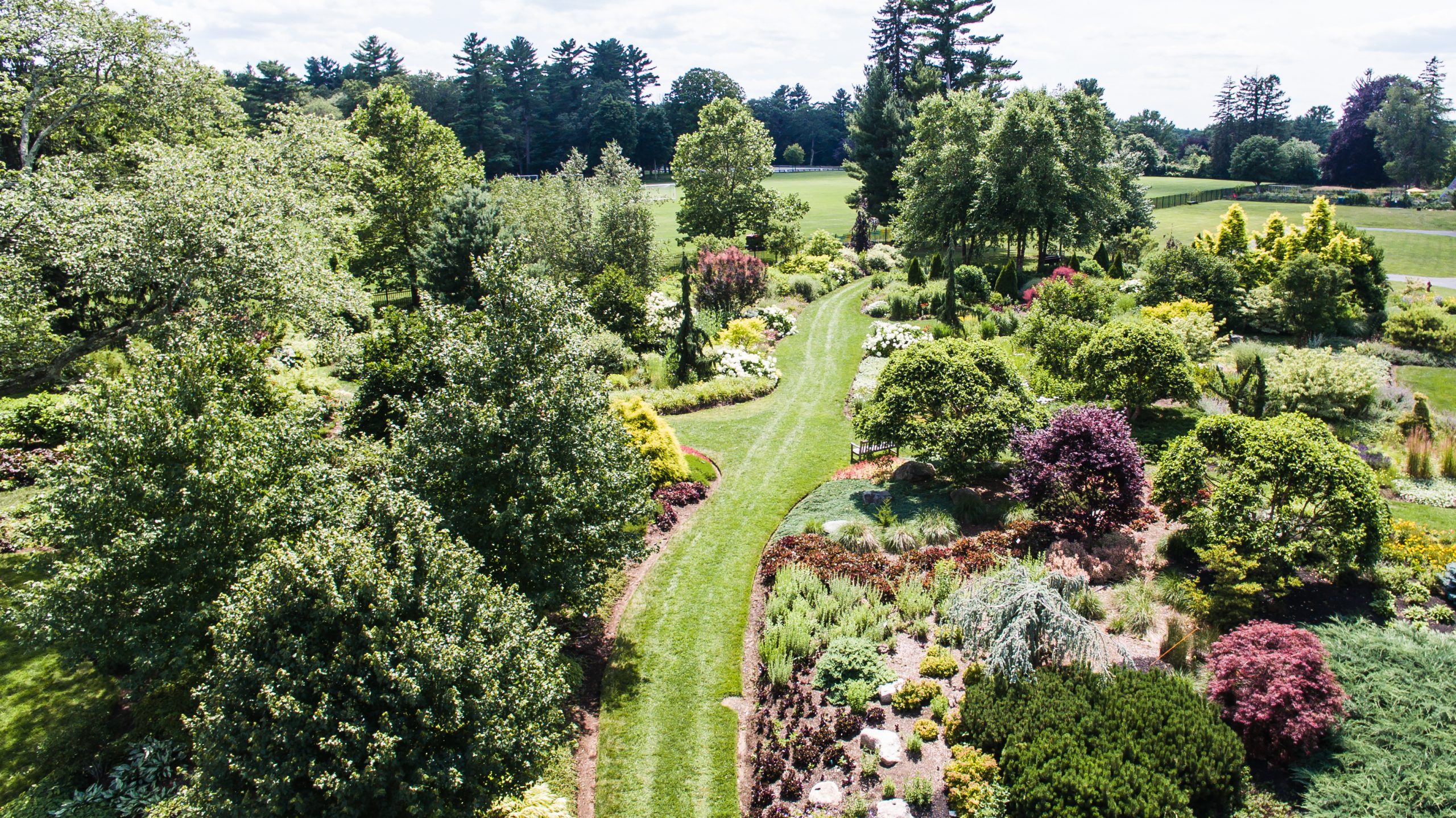 Image of Massachusetts Horticultural Society stewards The Gardens at Elm Bank, a blend of historic and contemporary gardens that demonstrate how plants and design are an integral part of everyday life. Photo credit: DouglasOLyons Image, courtesy of Massachusetts Horticultural Society.