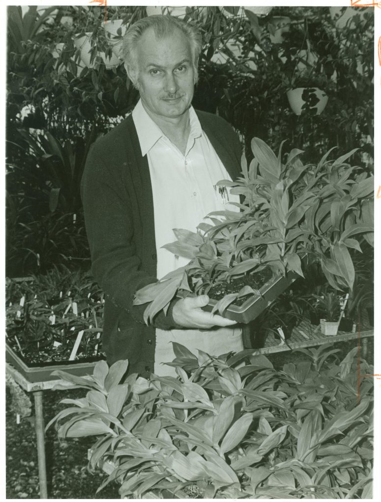 Dr. Cal Dodson holds a tray of the very rare Ila epidendrum (Epidendrum ilense) seedlings, a species saved from extinction through maintenance of ex situ collections.