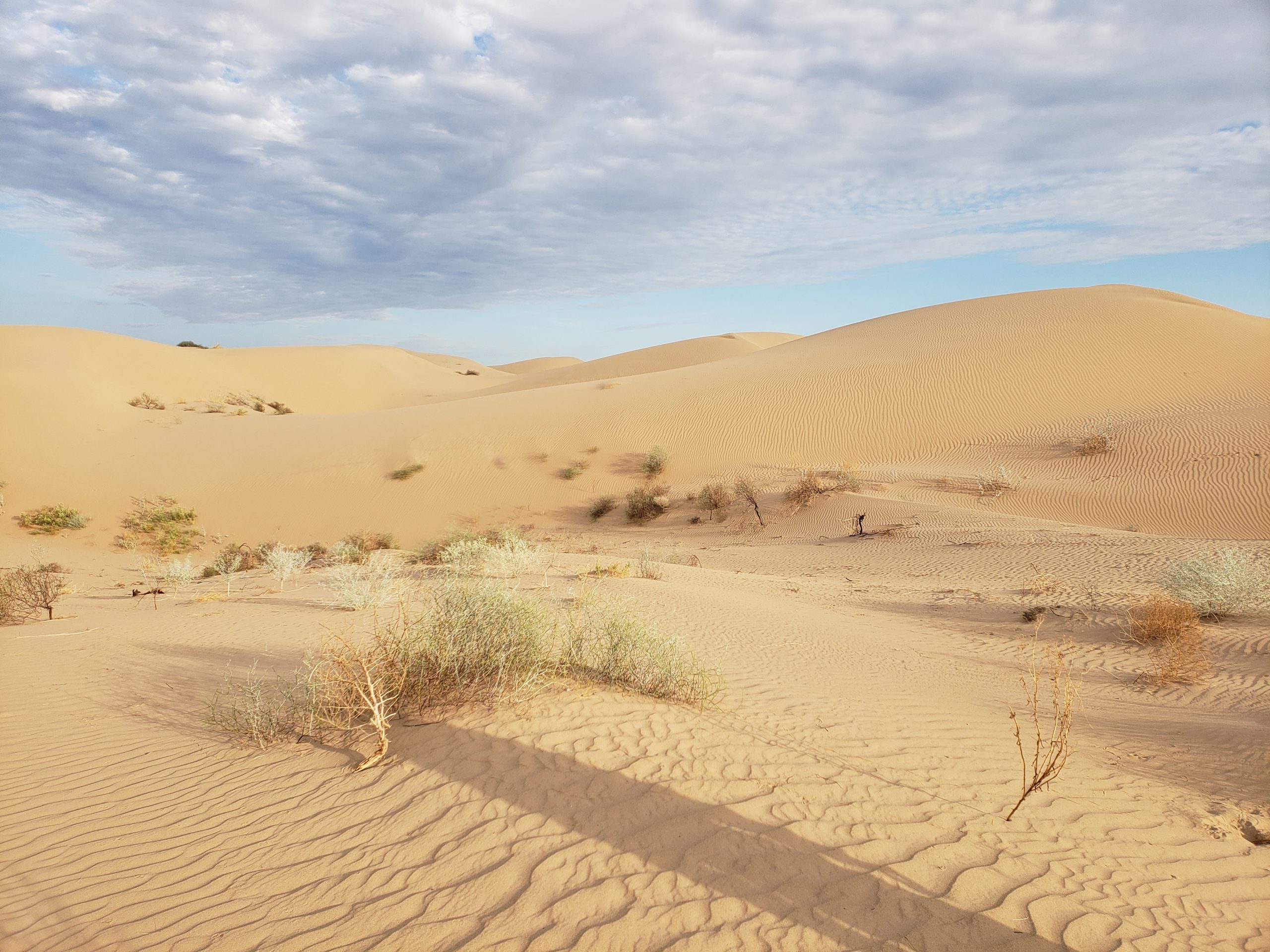 Rookie Kim Watts was stationed at the El Centro BLM office, where they have purview over the dunes of the Imperial Sand Dunes Recreation Area.