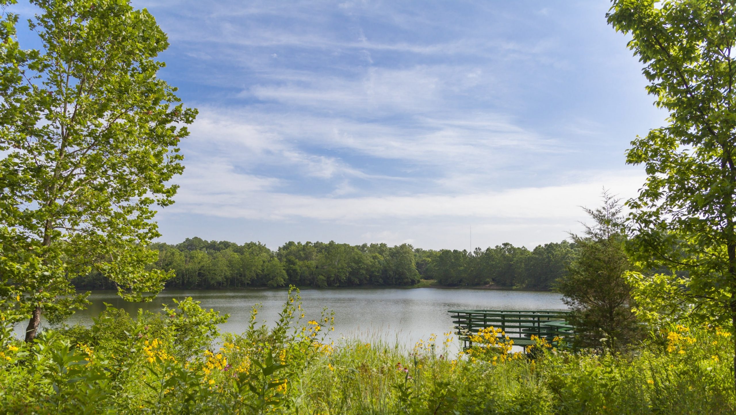 Lake at Newfileds.