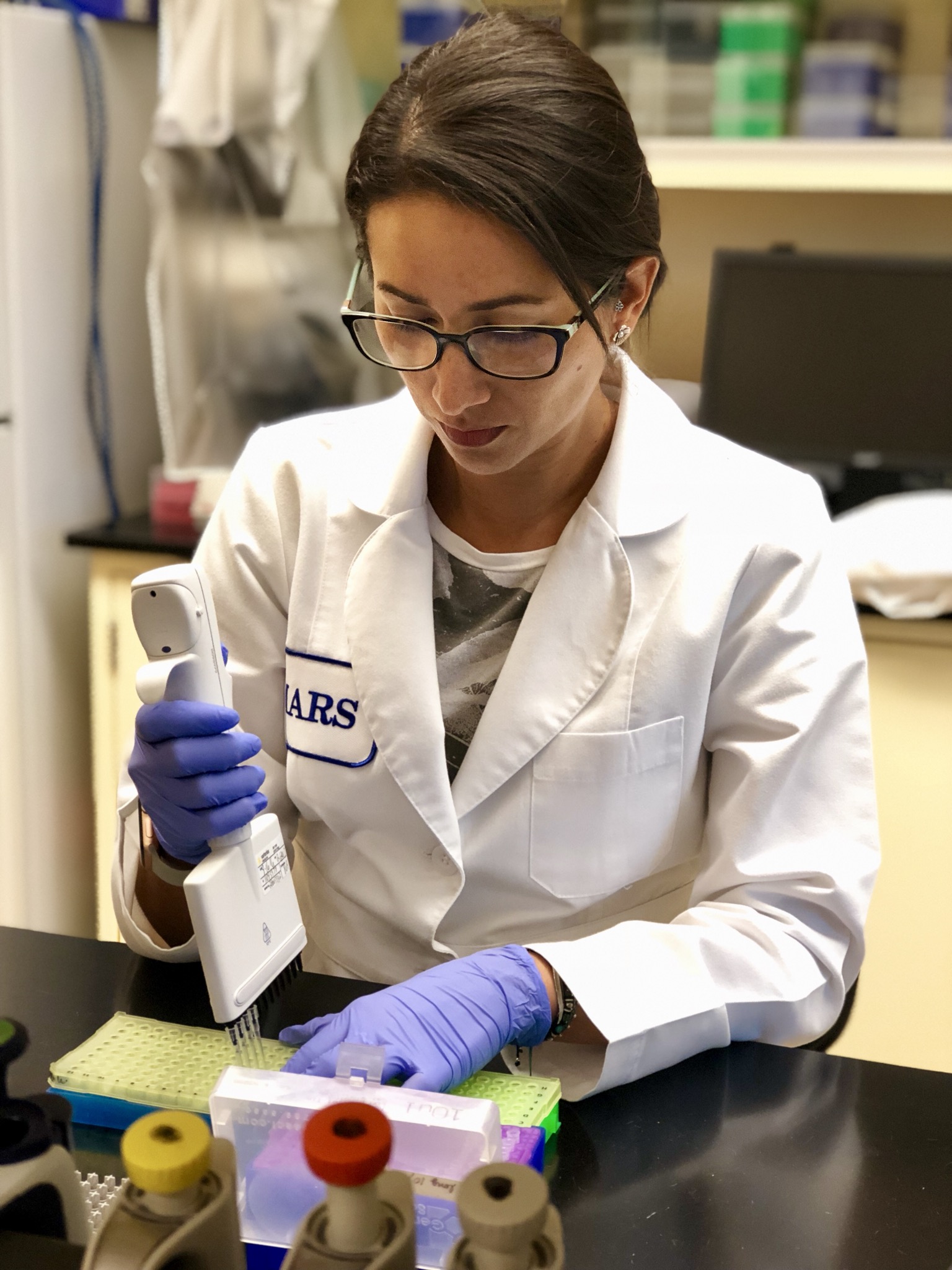 Vanessa Sanchez gathering DNA data for the palms in the project. Photo credit: Vanessa Sanchez, courtesy of Montgomery Botanical Center.