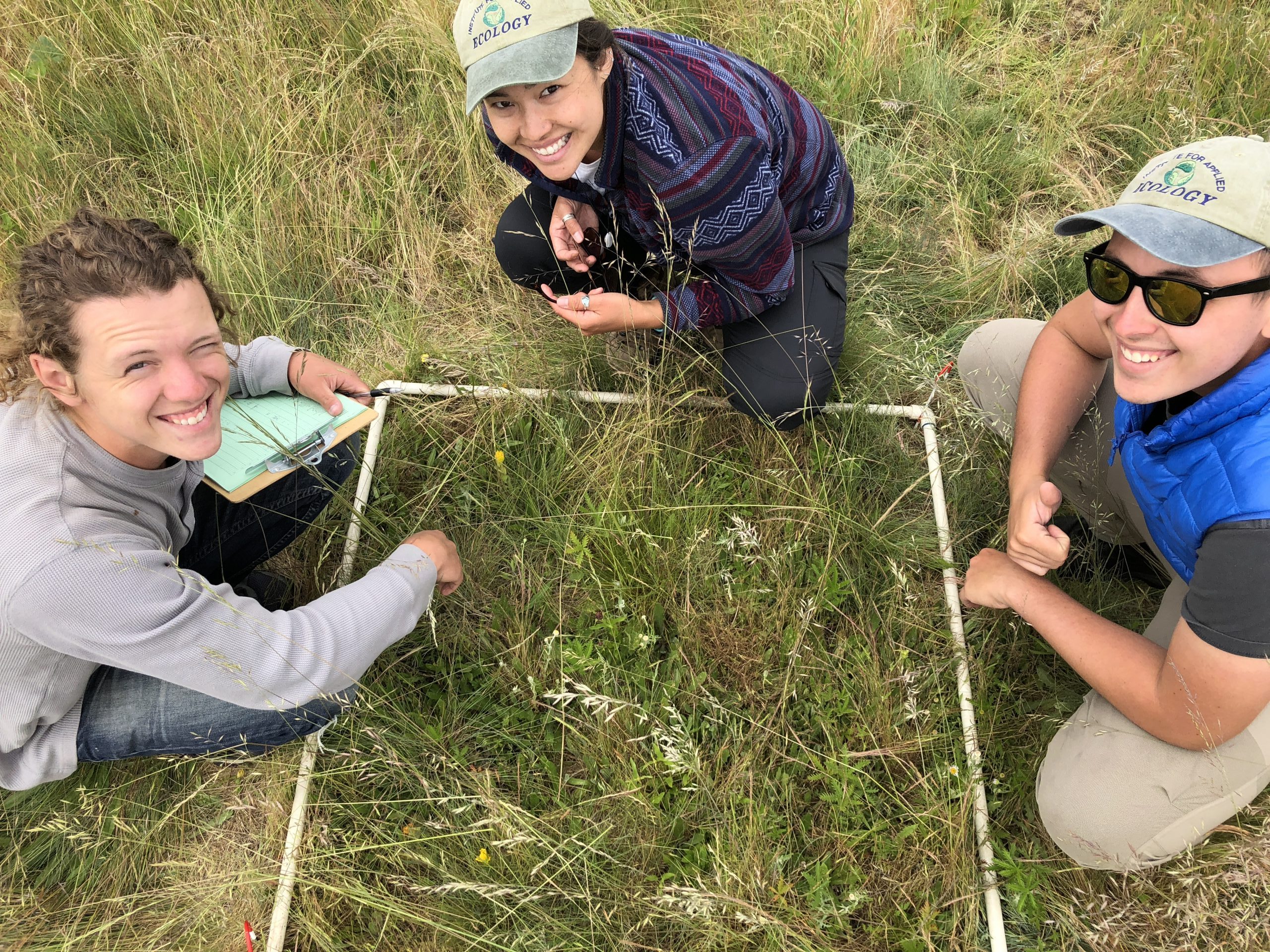 Monitoring and understanding site diversity are all important parts of the science being conducted to ensure restoration success.