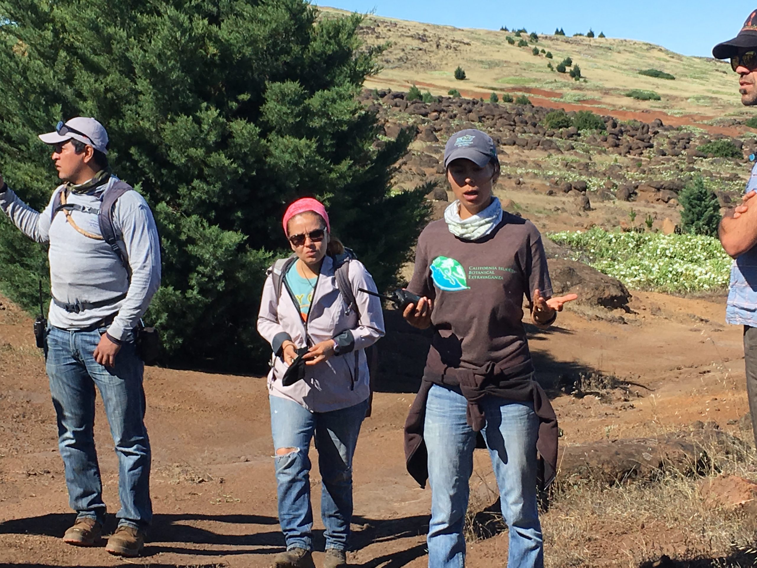 Dr. Luciana Luna Mendoza, Directora de Ecologia, Grupo de Ecologia y Conservacion de Islas, explains the restoration work.