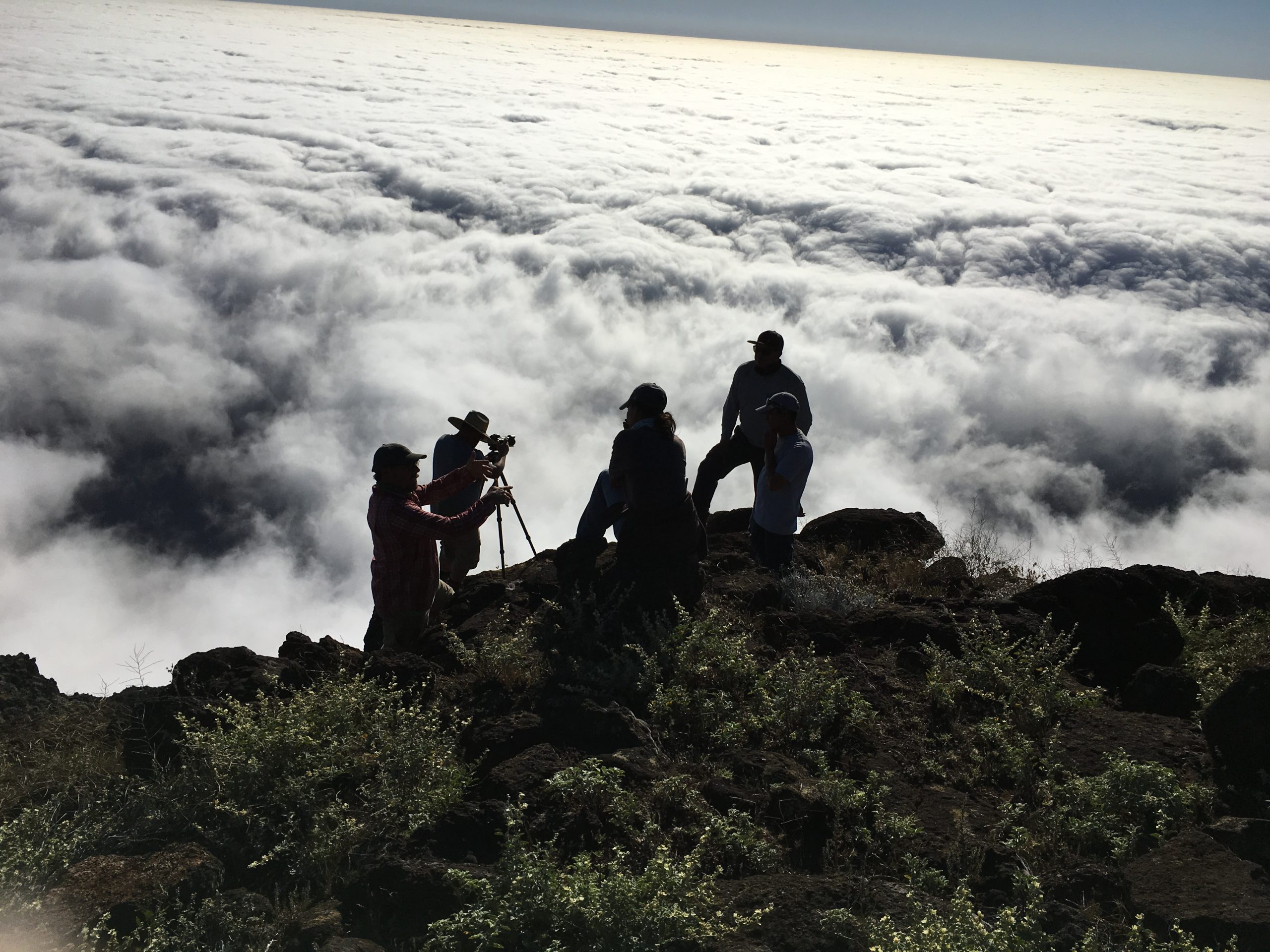 Above the fog, Guadalupe Island