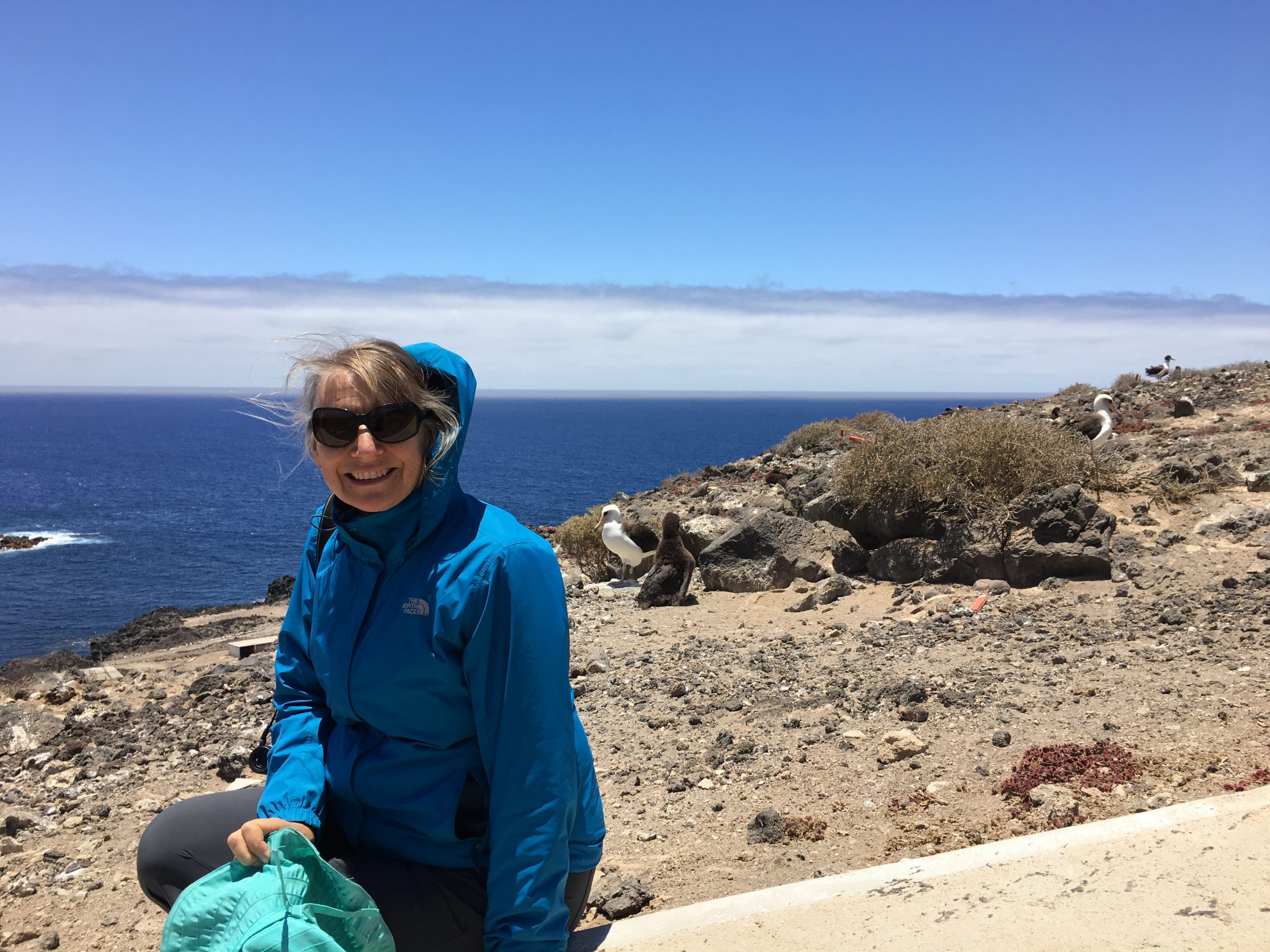 Joyce Maschinski sitting near the Laysan albatross chicks on Guadalupe Island.