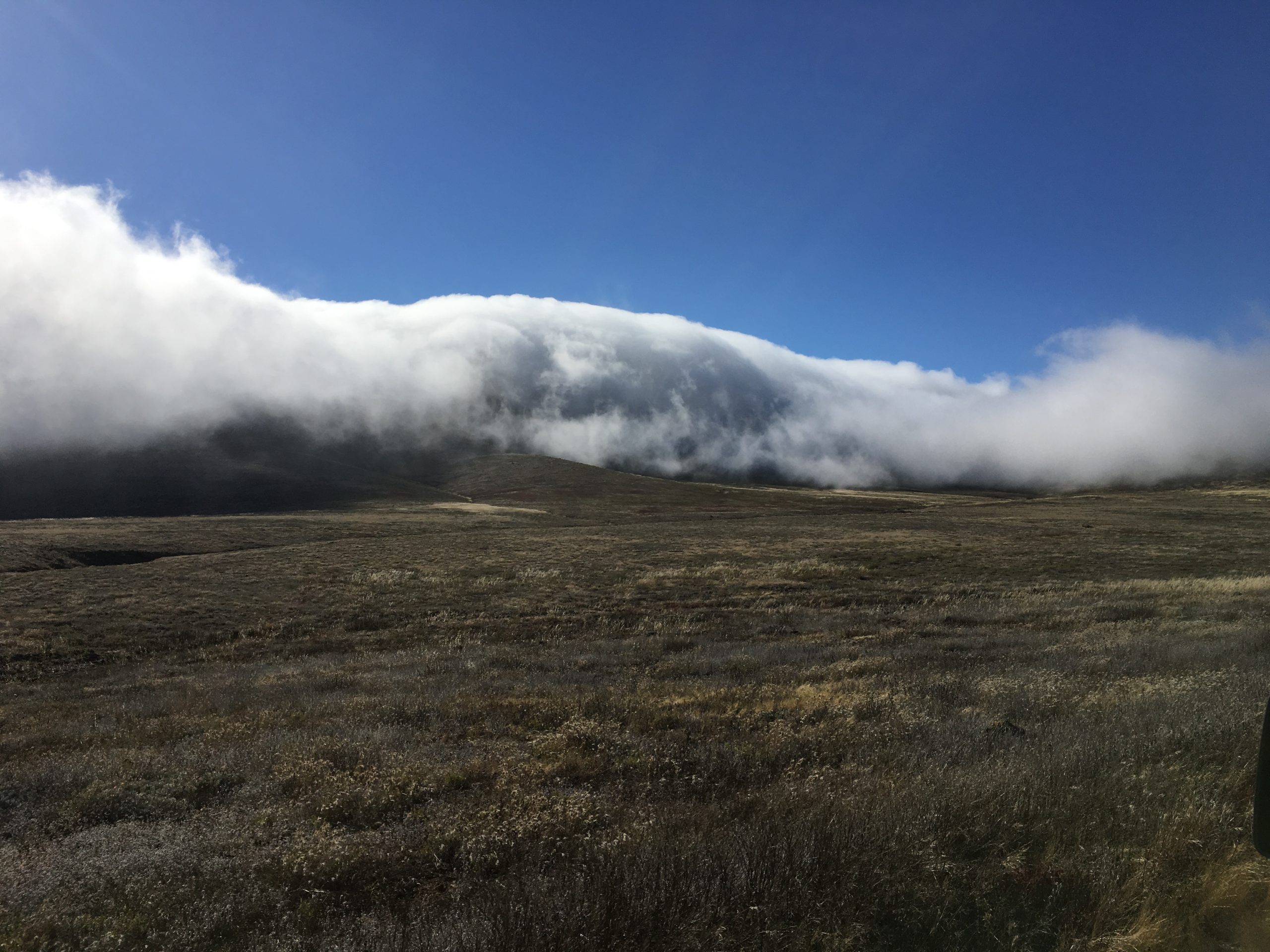 Fog rolling in Guadalupe Island.