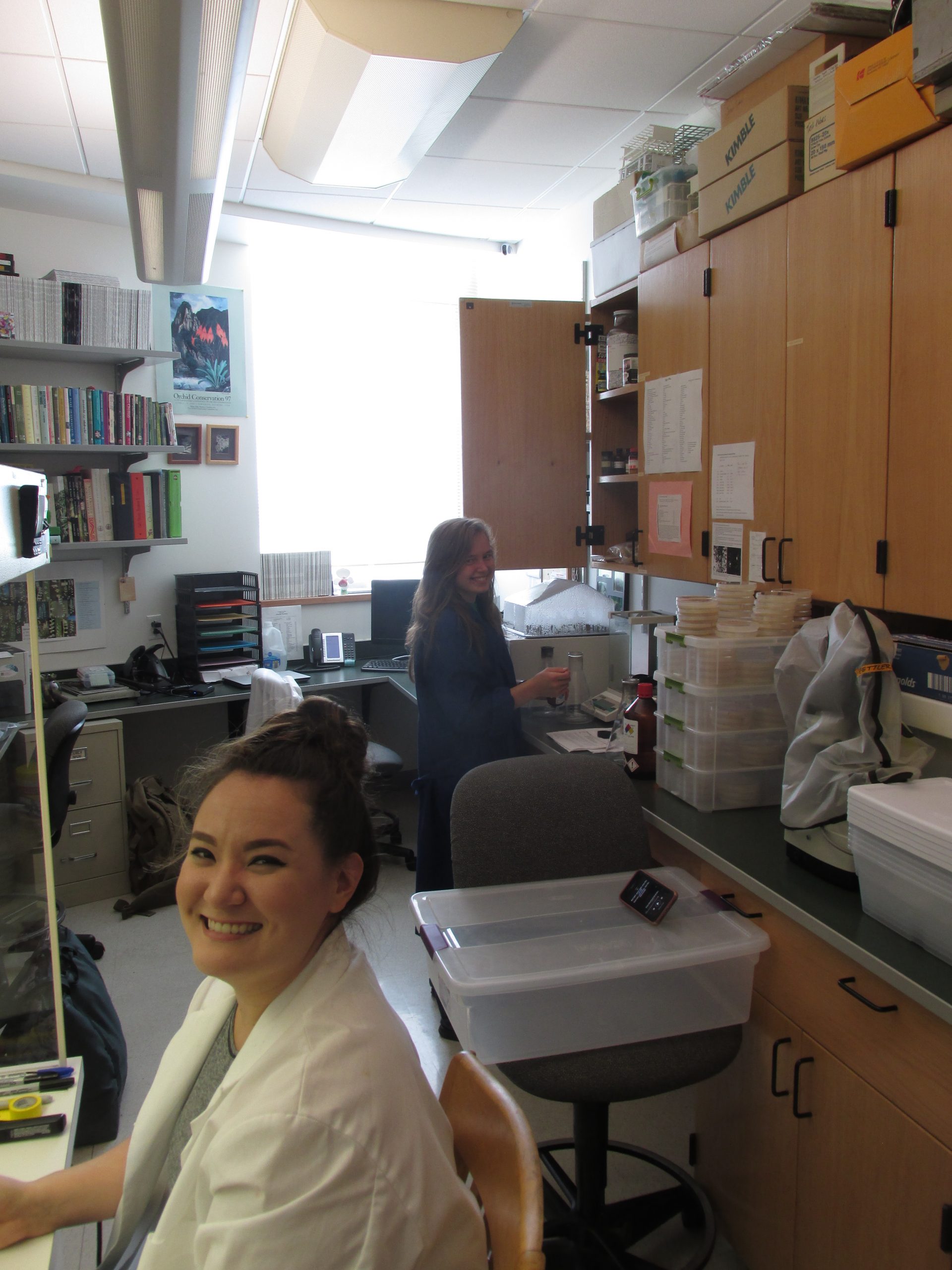 Illinois College students working on mycorrhizal fungi extraction from orchid roots.