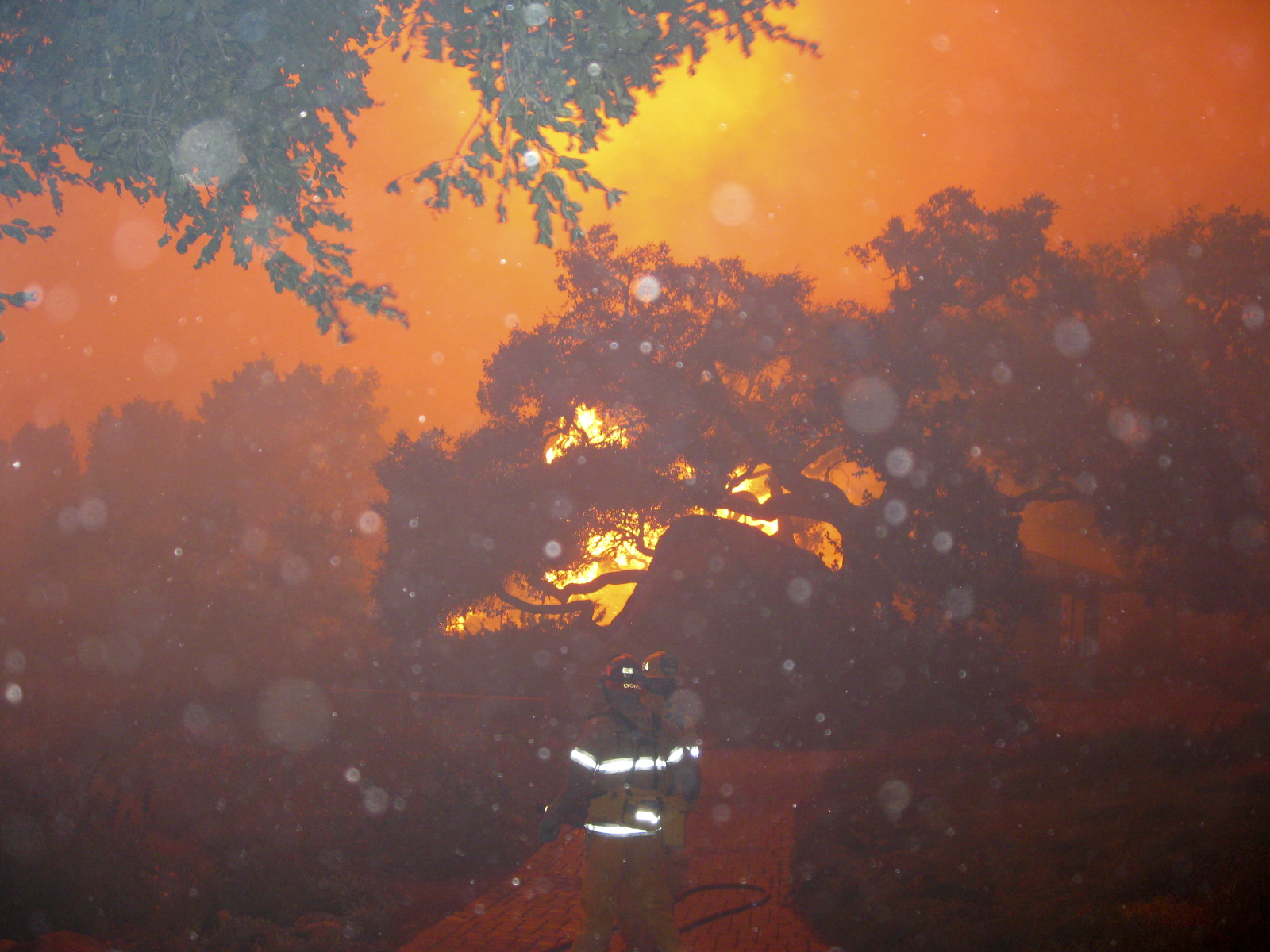 Jesusita Fire in the Garden, taken by a firefighter during the firestorm at SBBG. Photo by Long Beach Fire Dept., courtesy of the Santa Barbara Botanic Garden.