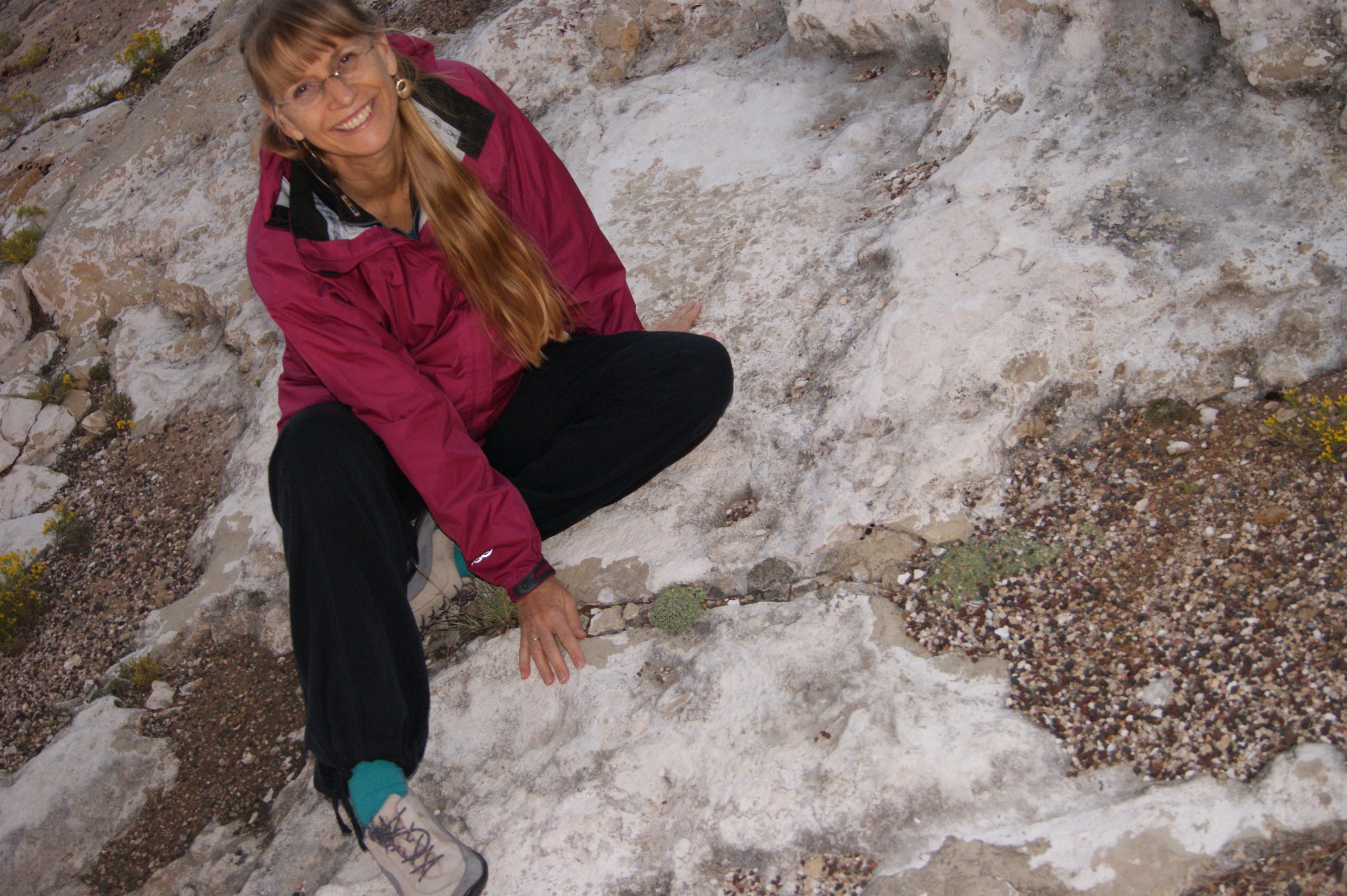 Joyce poses with a sentry milkvetch (Astragalus cremnophylax var. cremnophylax), a species she helped direct toward recovery with reintroductions and management.