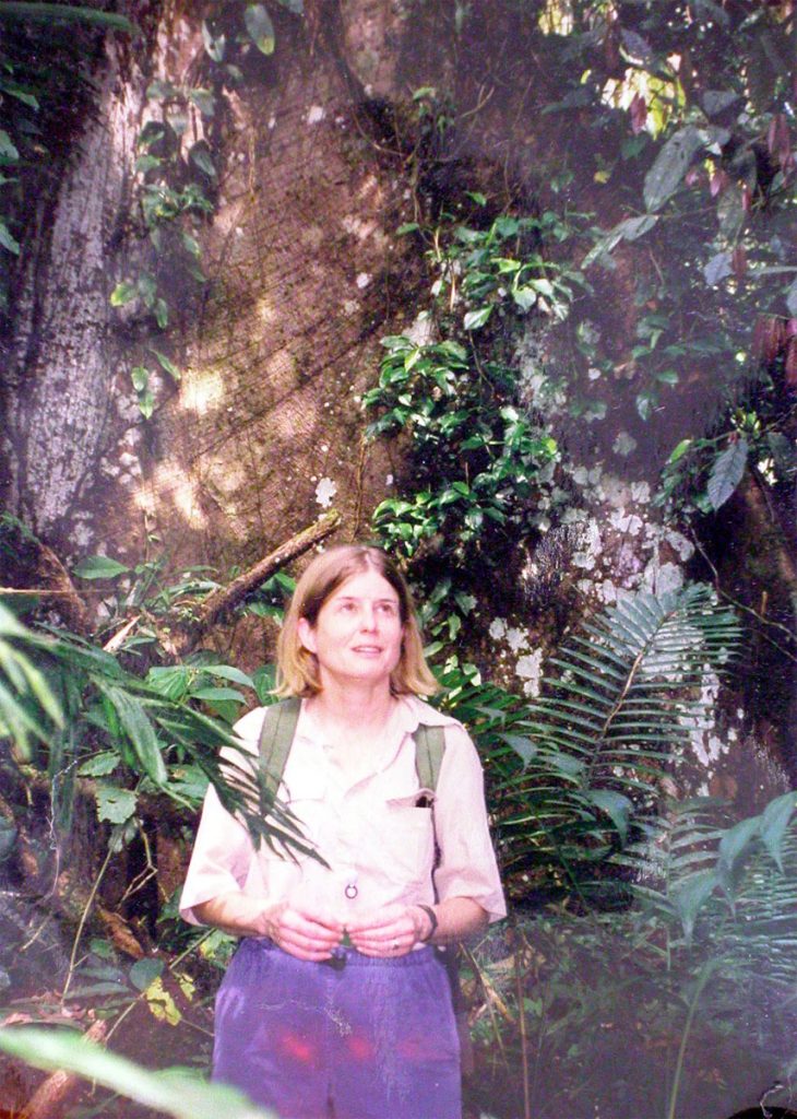 Dr. McDade at La Selva Biological Field Station in Costa Rica, early 2000s, in front of a Ceiba pentandra with huge buttresses.