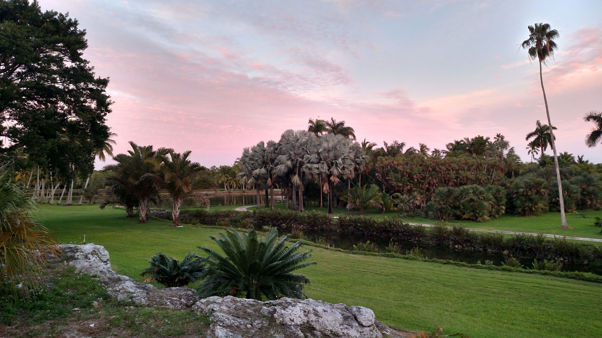 Image of Conservation Garden at Montgomery Botanical Center.