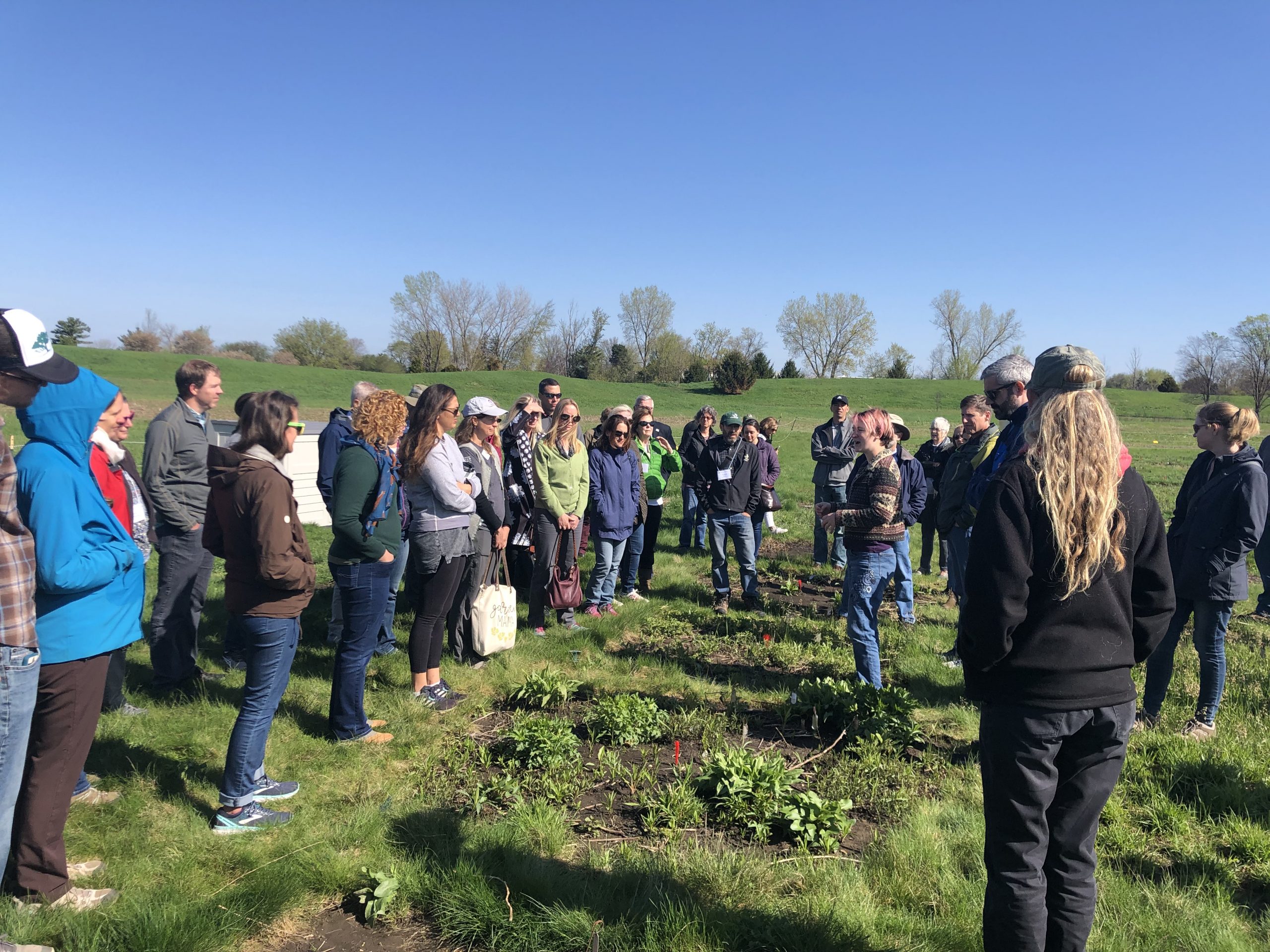 During Saturday’s field trip, Morton Arboretum staff explained the complicated National Science Foundation funded prairie restoration experiment.