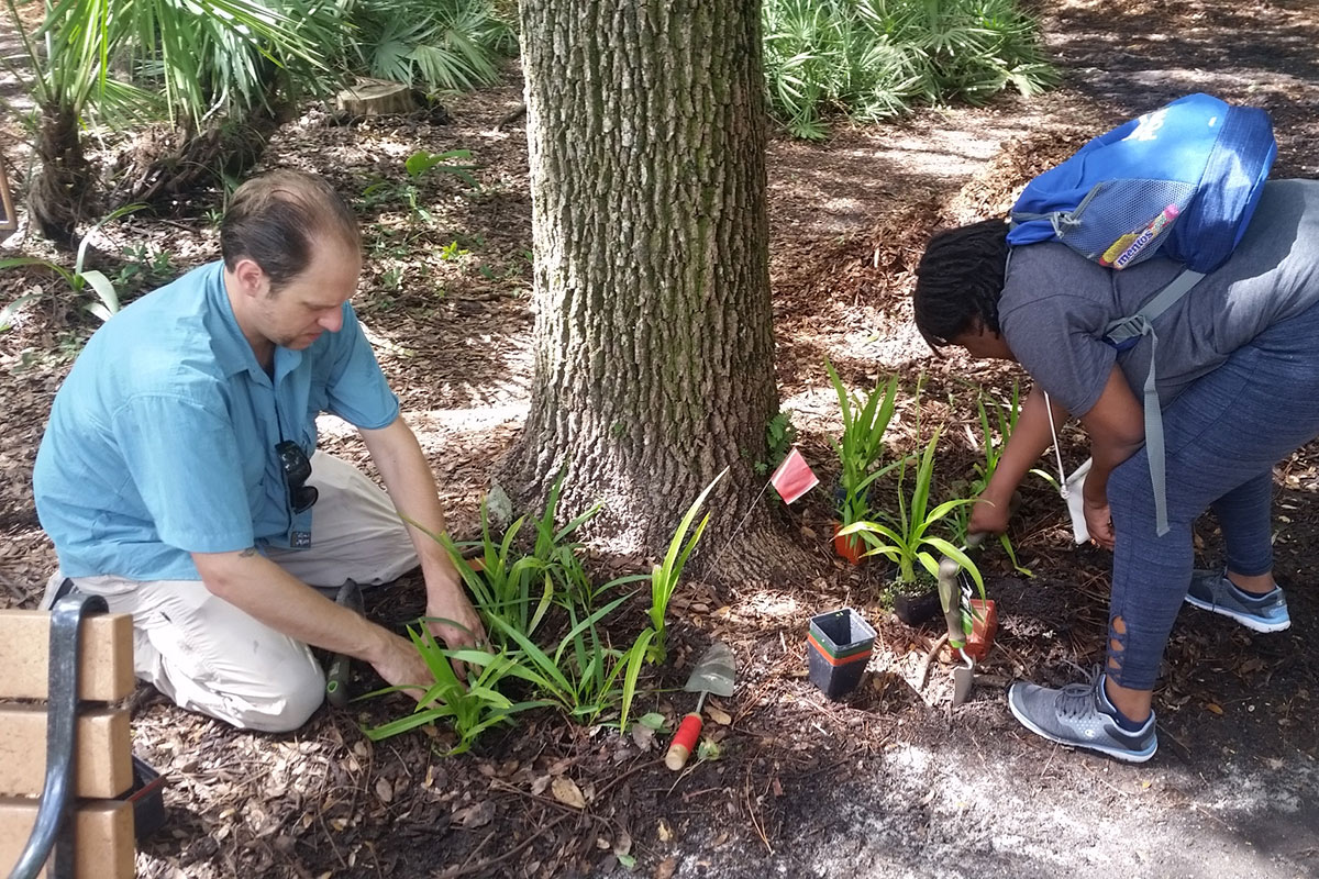 Orchids-in-the-Classroom teachers planting out orchids grown by students in Miami.