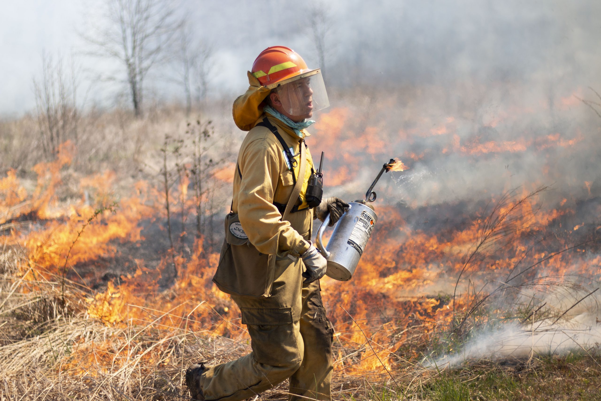 Prescribed fire is an important tool for land management on the NCBG lands Johnny helps manage. Photo: Alyssa LaFaro, UNC Research.