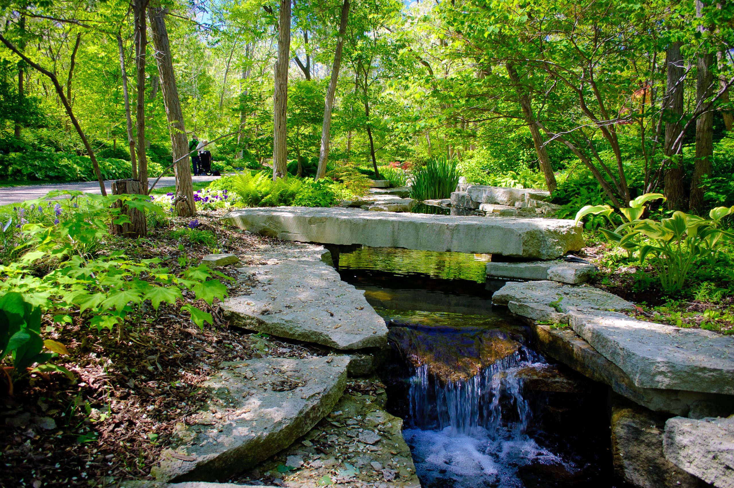 The Garden in the Glen at Lauritzen Gardens.