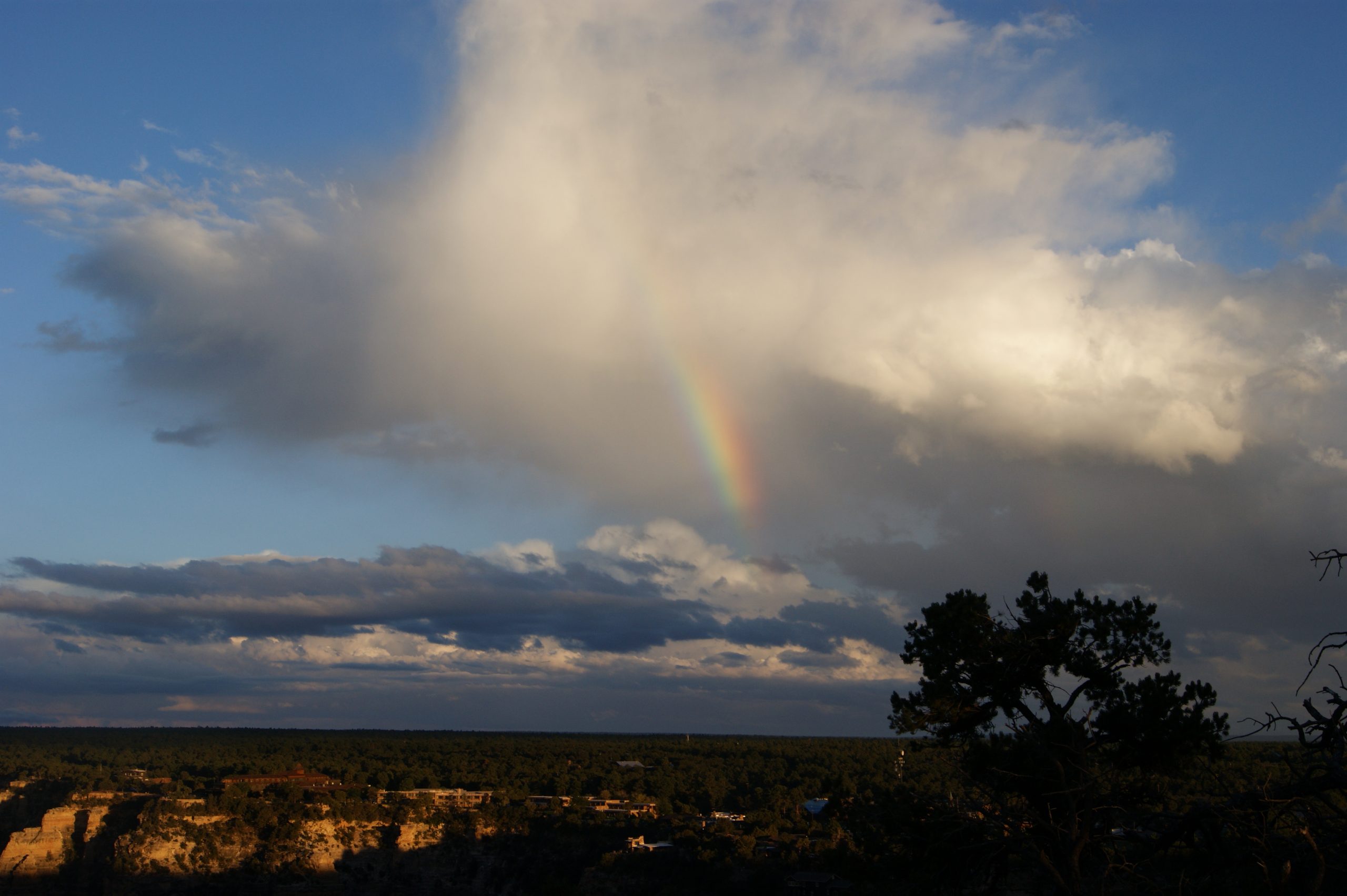 Rainbow over Joyce’s field site in Arizona.