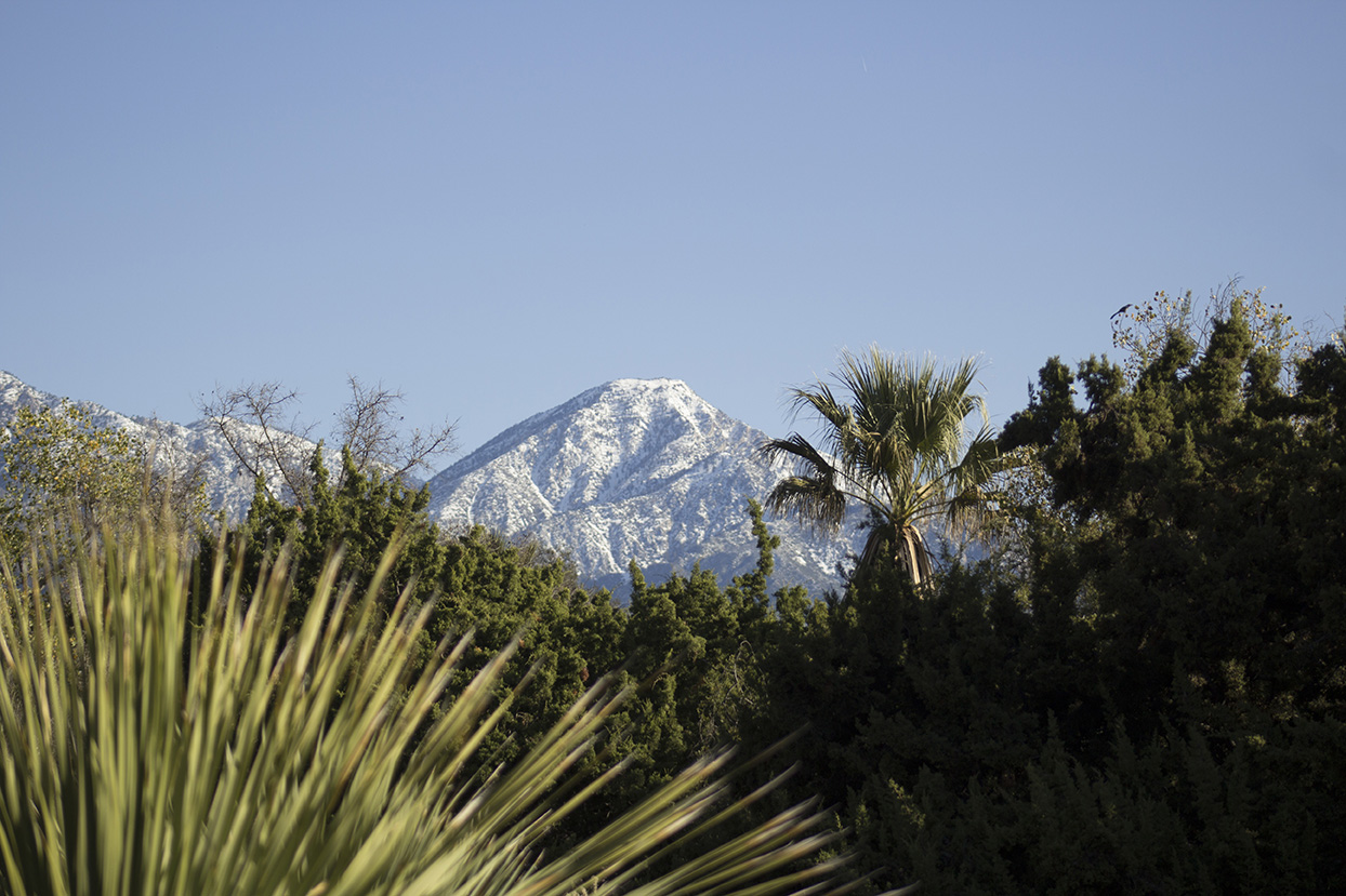 Tucked below the San Gabriel Mountains, Rancho Santa Ana Botanic Garden gets great views of the snow-capped mountains.