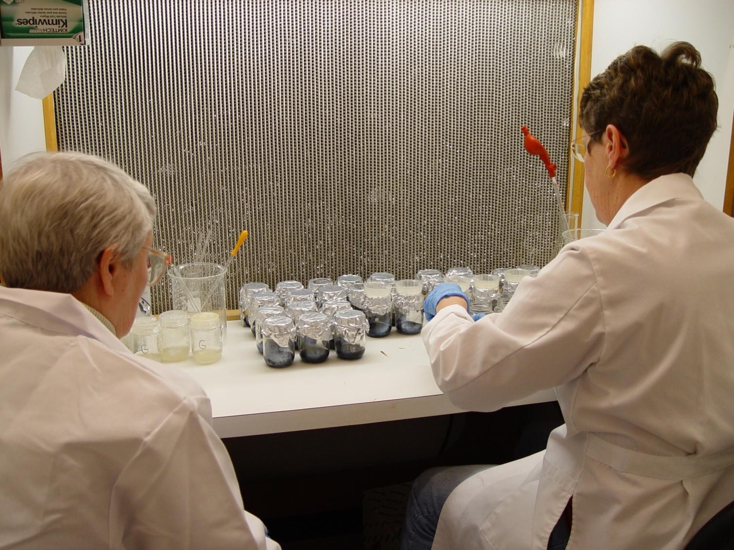 Volunteers, Sue Grant and Laurel Krause, helping with the unglamorous task of preparing media and flasks for plating orchids.