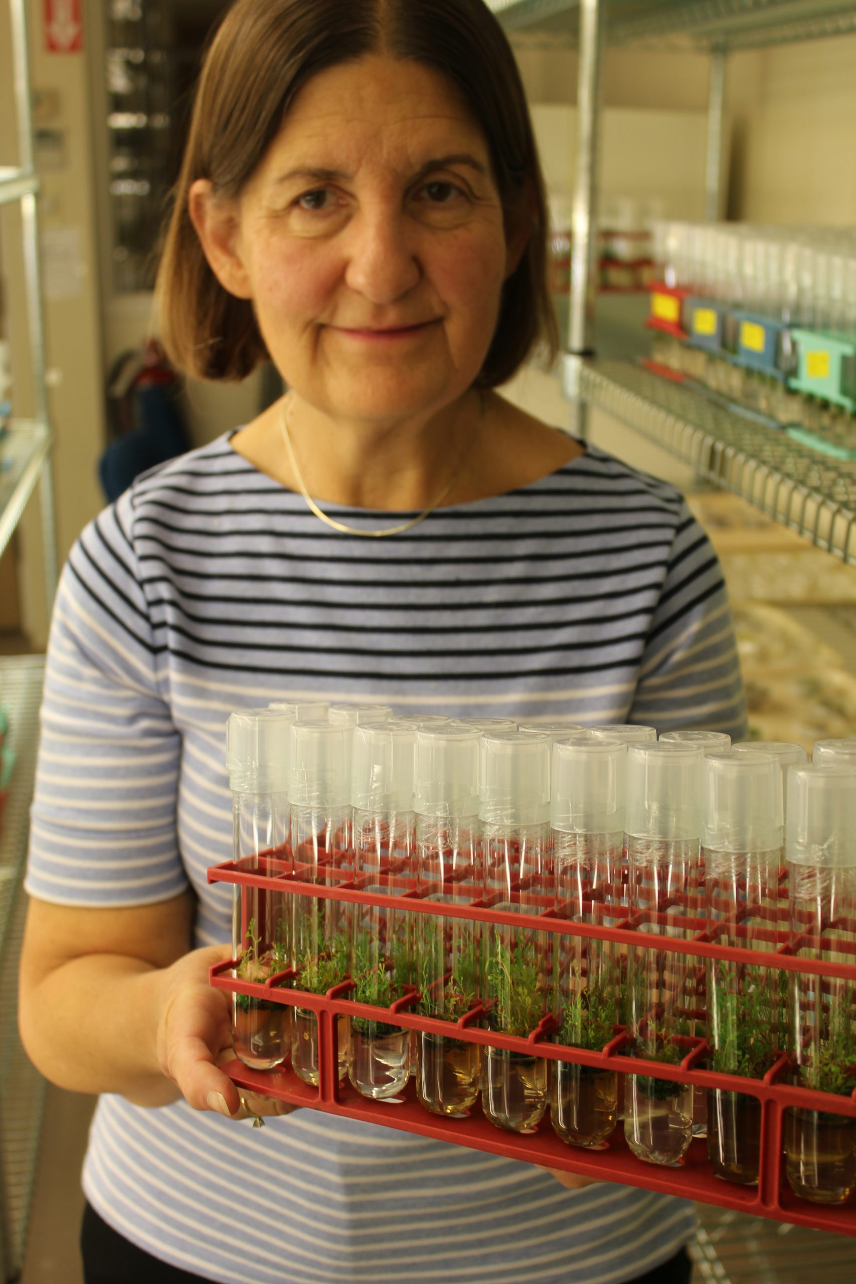 photo of Dr. Valerie Pence in the lab holding a tray of test tubes with seedlings