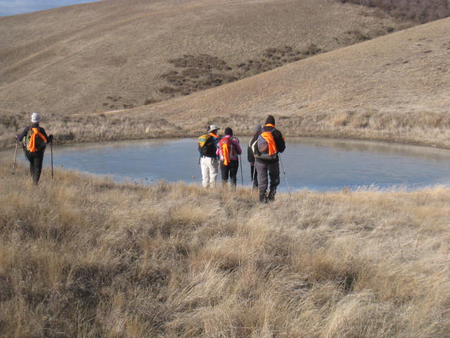 Volunteers survey for obscure buttercup at Dalles Mountain Ranch near the Columbia River.