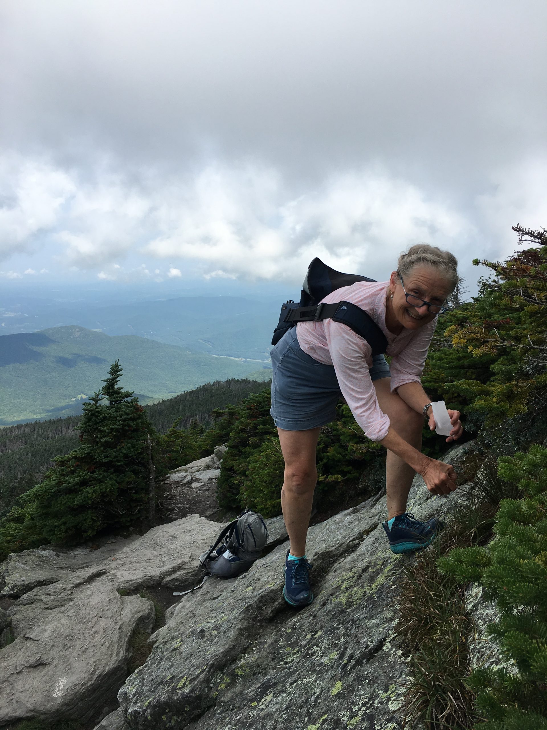 Vermont volunteer Katie Kruesi makes a seed collection of the threatened highlands rush (Juncus trifidus) earlier this month