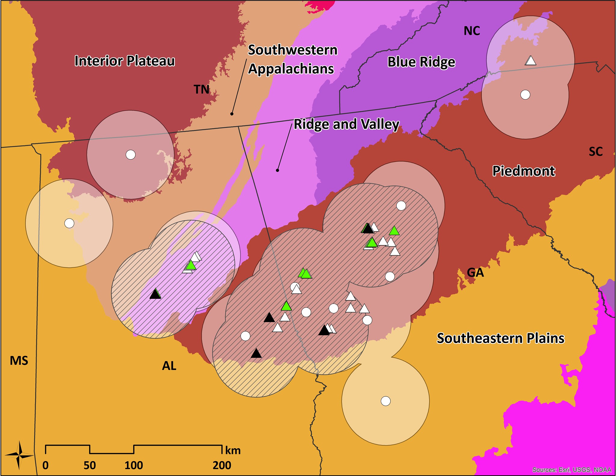 Map of seed collections (in green) made in 2018 by The Morton Arboretum to expand the Quercus georgiana metacollection’s ex situ wild population representation. Map courtesy of Emily Beckman, The Morton Arboretum.