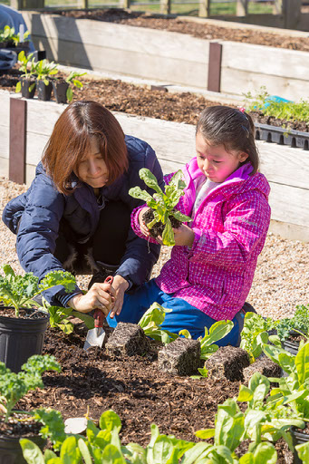 Nature Preschool planting