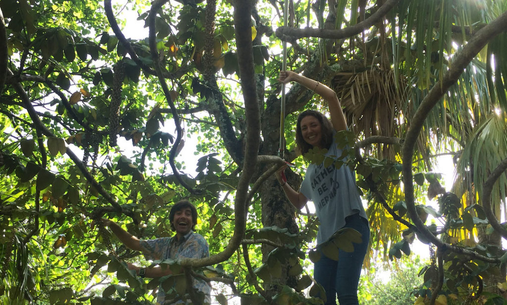 Image of Shyla Villanueva and Lily Flynn, Image courtesy of National Tropical Botanical Garden