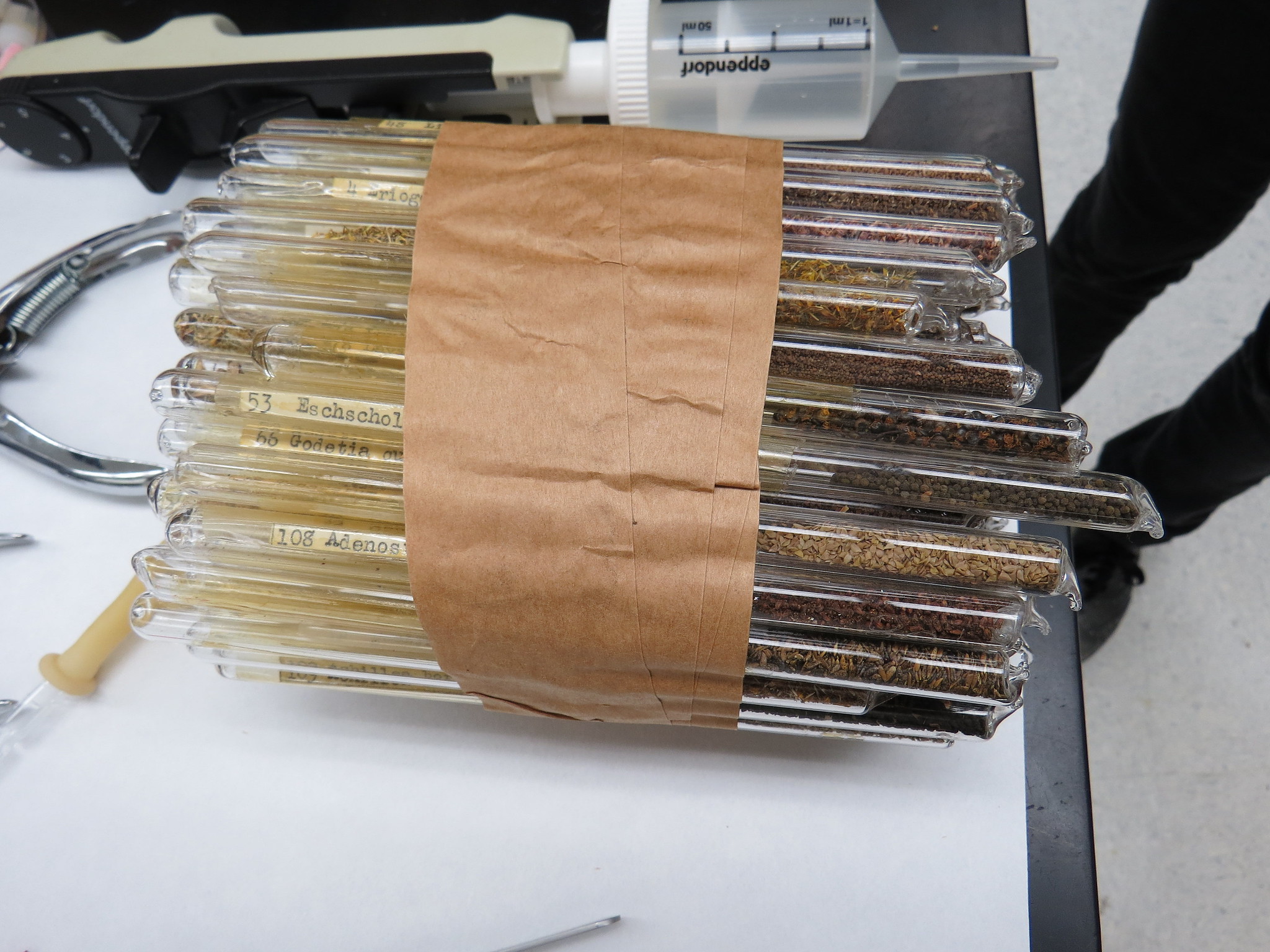 Image of wrapped seed tubes.