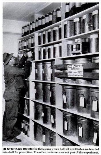 Image of seed storage room.