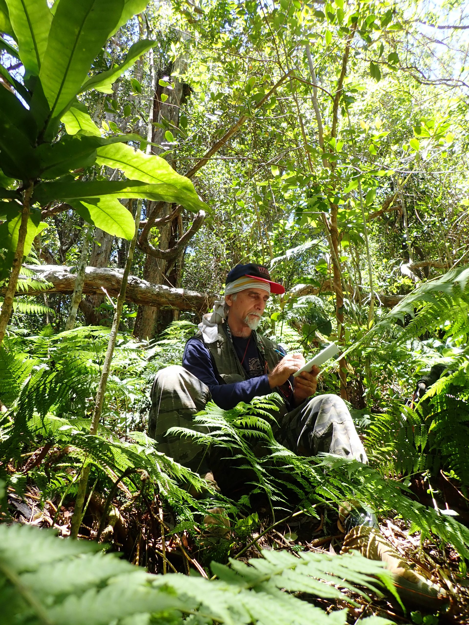 Image of Ken Wood assessing rare plants in Kauai.