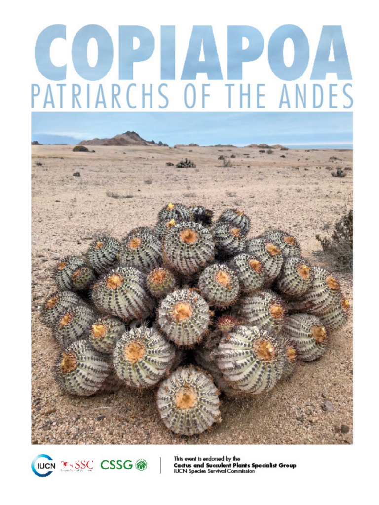 Image of a photographic exhibition endorsed by the CSSG helped raise awareness of the impacts of poaching cacti - specifically Copiapoa - on populations and ecosystems.