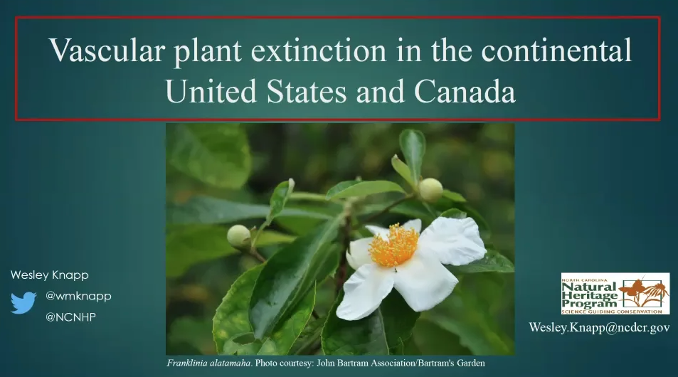 Screenshot from "Vascular Plant Extinction in the Continental United States and Canada" video.