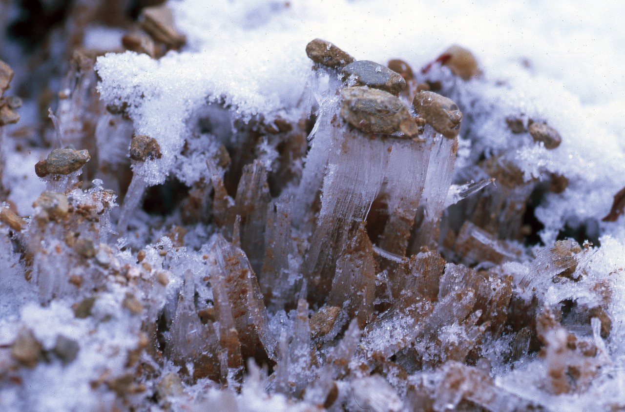 Image of ice pushing up the soil.