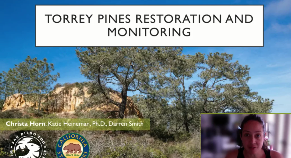 Screenshot from Experimental Restoration of Torrey Pines in Response to Large-Scale Stand Dieback