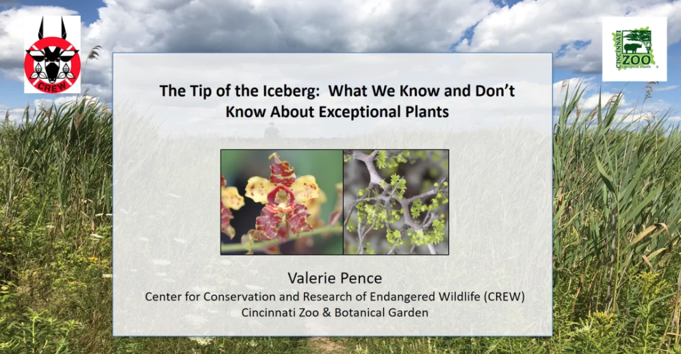 Screenshot from The Tip of the Iceberg: What We Know and Don’t Know About Exceptional Plants video