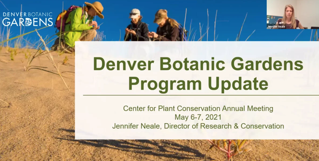 Denver Botanic Gardens Program Update Center For Plant Conservation   Screen Shot 2021 05 11 At 7.16.26 AM 