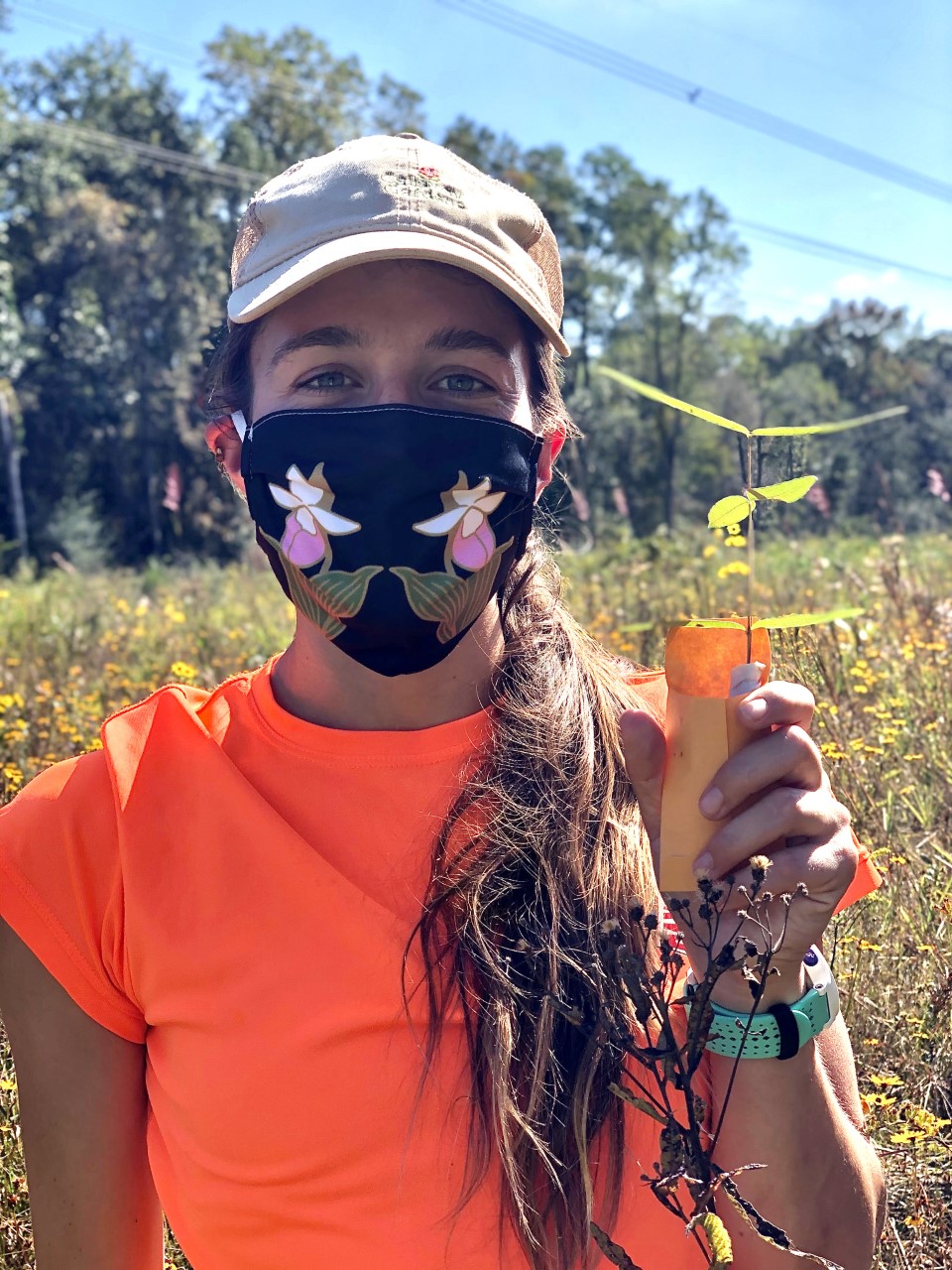 Image of Emma Neigel in the field collecting a cutting of red milkweed (Asclepias rubra) as part of an effort to maintain a safeguarding ex situ collection at Atlanta Botanical Garden.