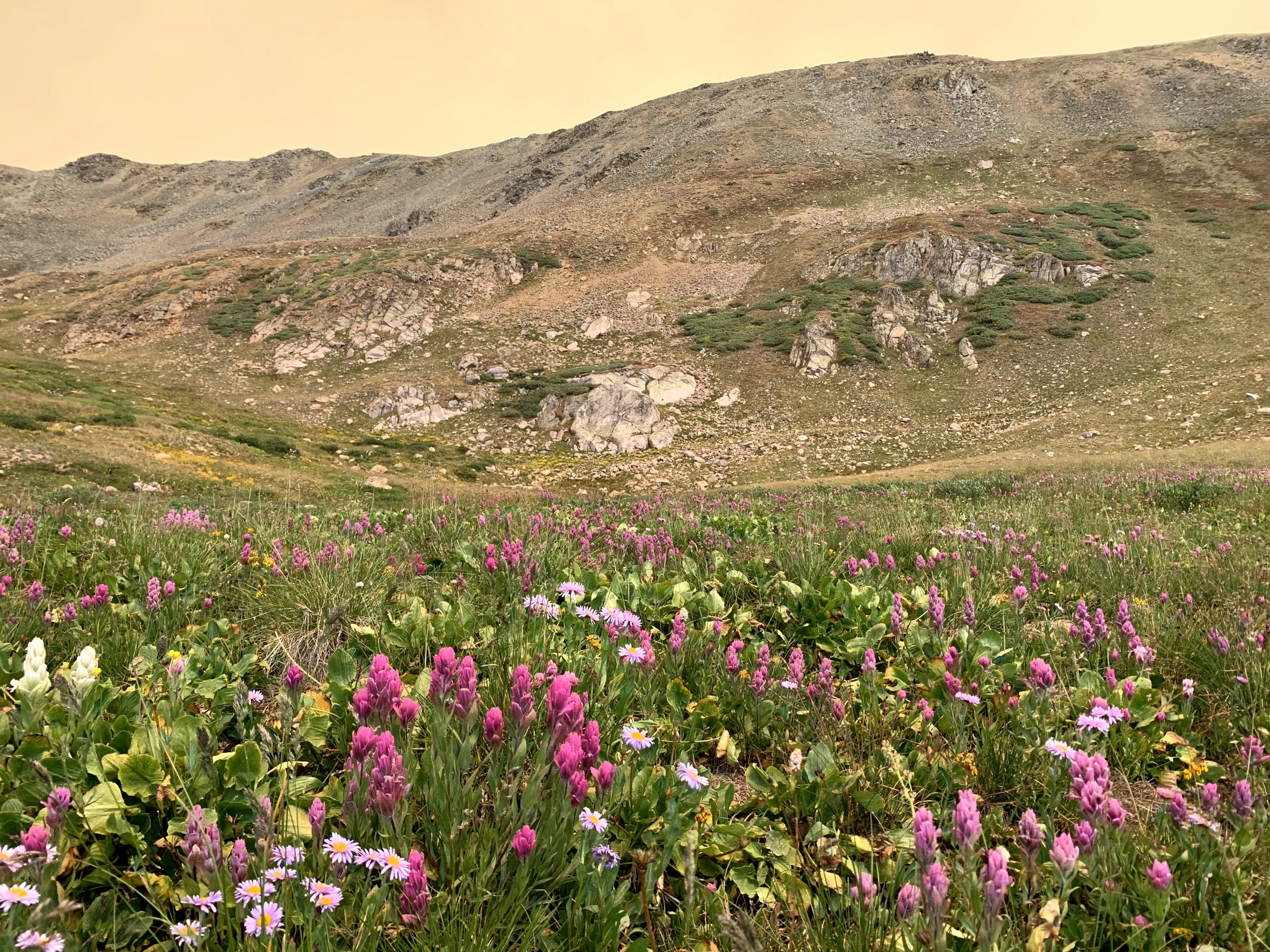 Image of Smoky Alpine skies.