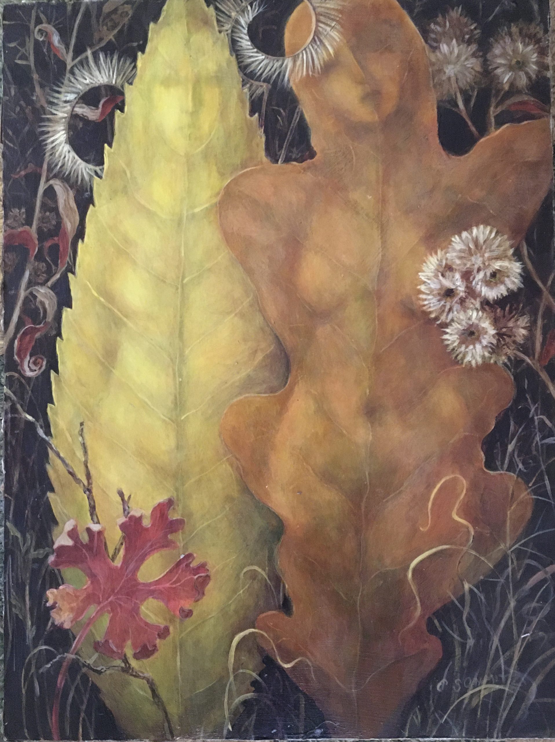 Image of a painting by Carolyn Schmitz depicting she and her sister, Linda, as forest flora. Carolyn is depicted as a black walnut leaf and Linda is depicted as a Gambel oak leaf. Around them are grama grass, Arizona cudweed, and a wild geranium leaf in autumn.