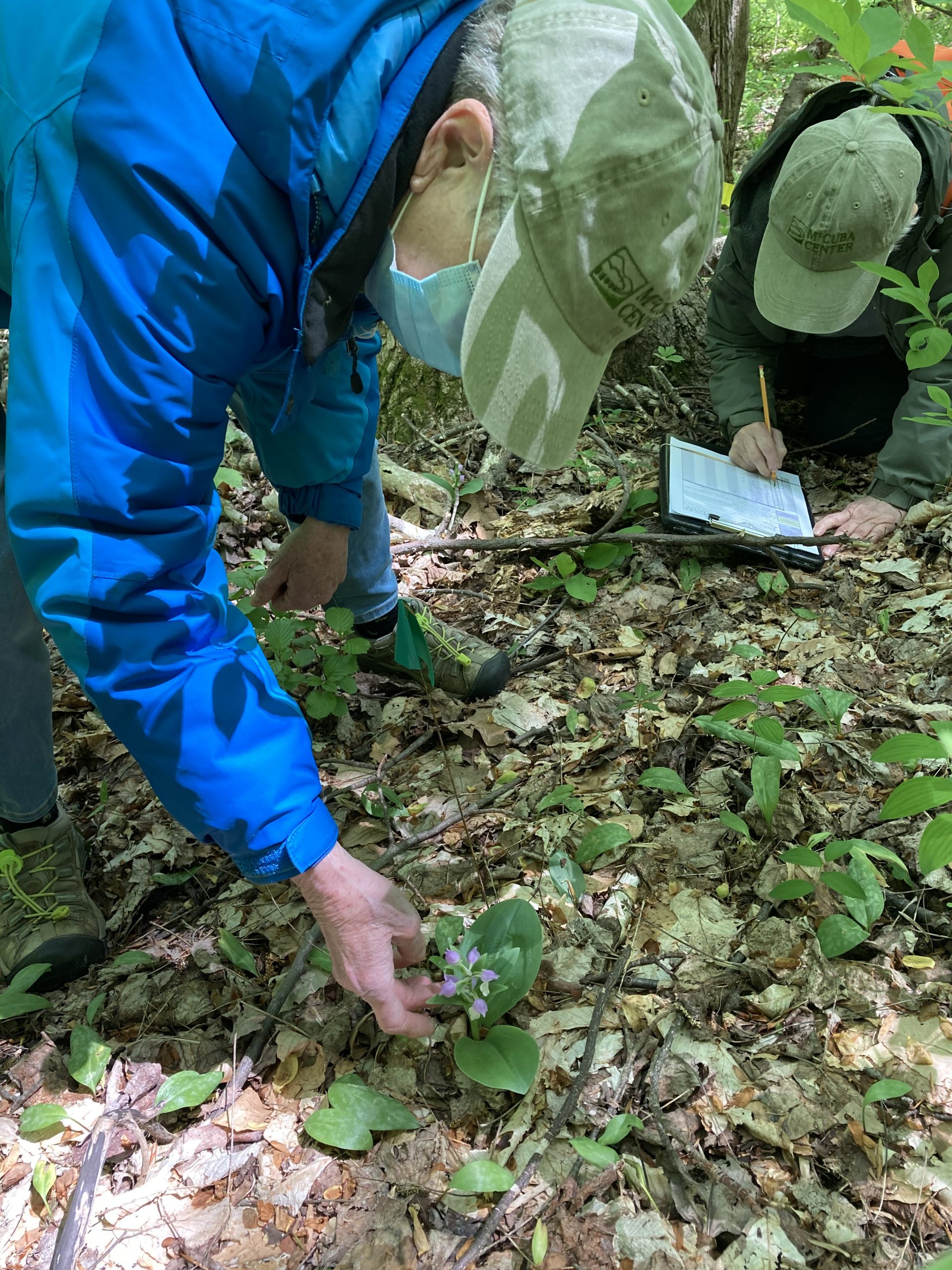 Image of Mt. Cuba Center Citizen Science Projects