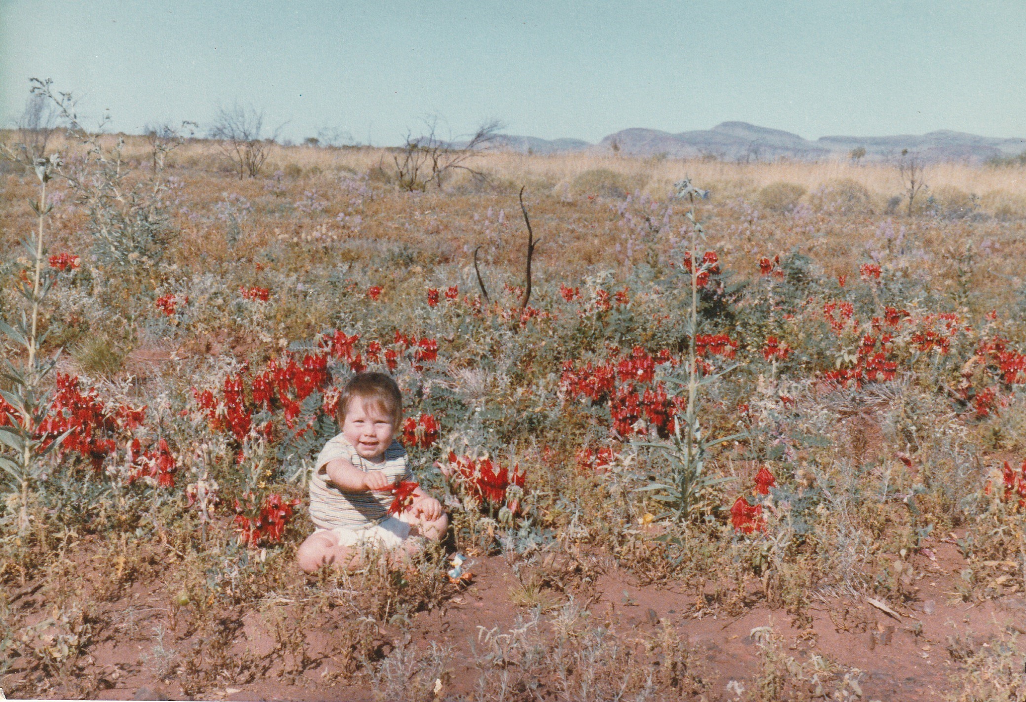 Image of Dr. Lucy Commander