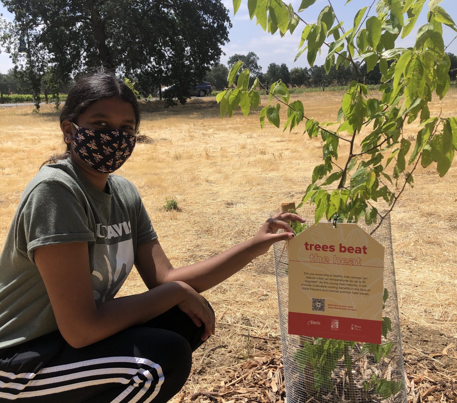 Image of UCDAPG tagged seedling. Photo courtesy of UC Davis Arboretum and Public Garden.