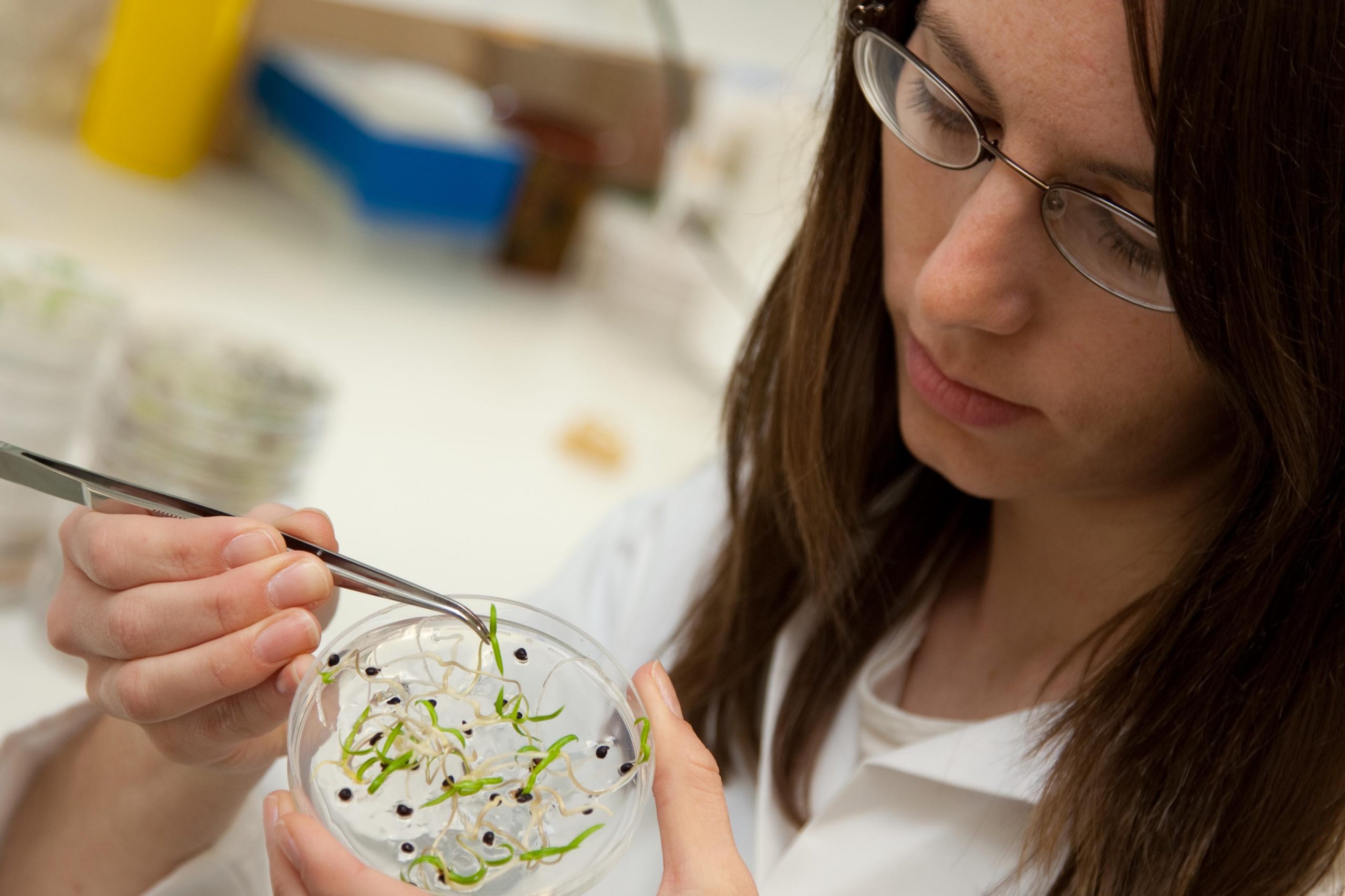 Image of Dr. Lucy Commander in the lab.