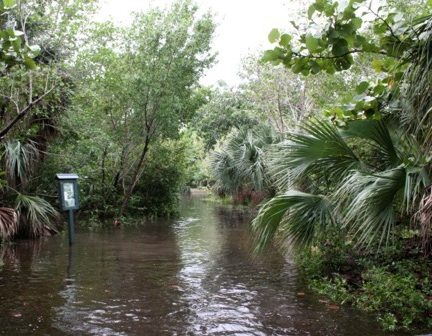 Image of flood waters on the eastern coast of Florida