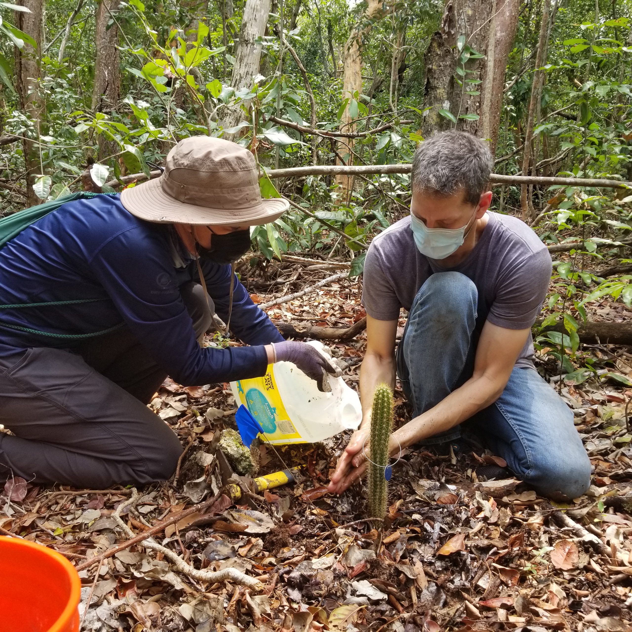 Image of two people planting a cactus.