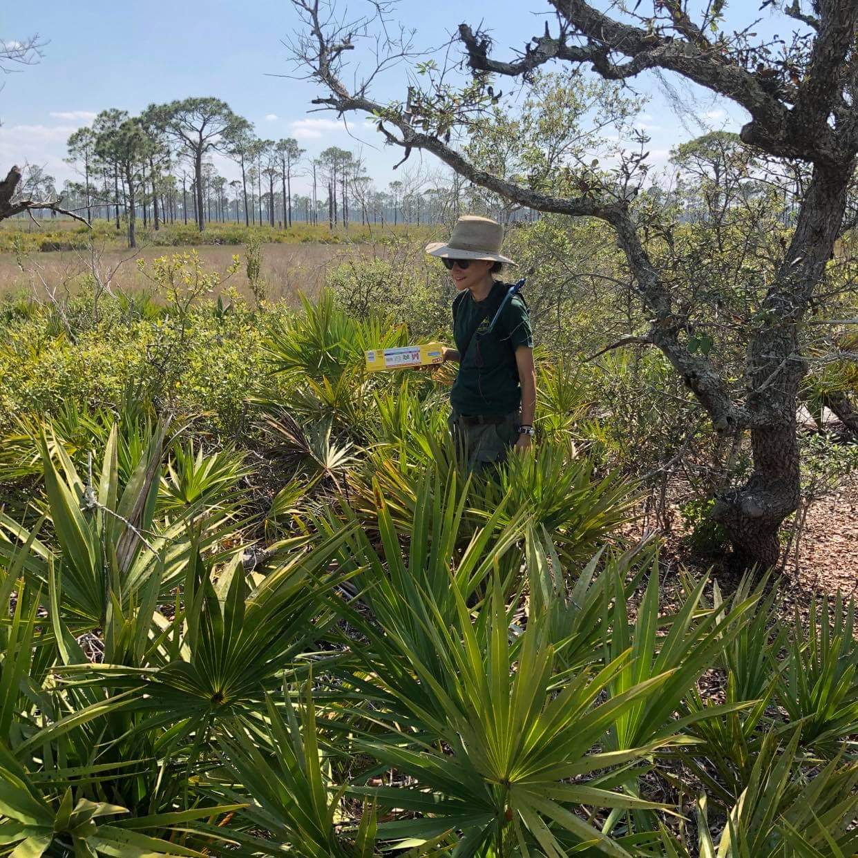 Image of a woman standing among plants.