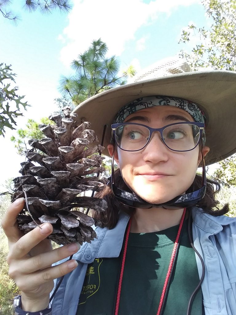 Image of a woman holding a large pinecone.